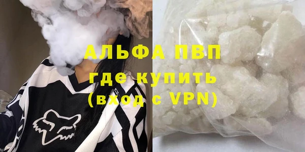 мяу мяу мука Абаза