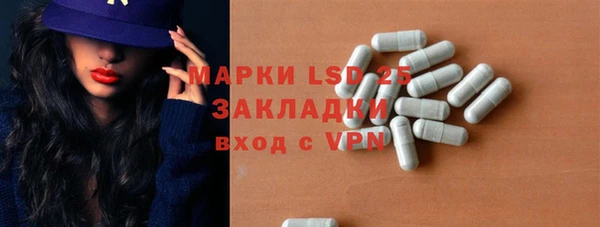 мяу мяу мука Абаза