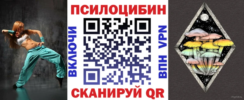Галлюциногенные грибы Psilocybine cubensis  Белоусово 